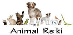 Animal Reiki Class - Reiki in Venice Florida 